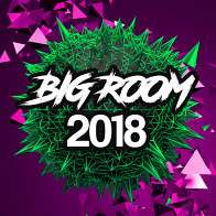 Big Room 2018 product image