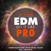 EDM Do It Like Pro product image