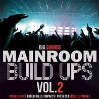 Mainroom Build Ups Vol.2 product image