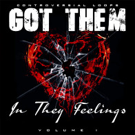 Got Them In They Feelings product image