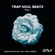 Trap Soul Beatz Vol 1 product image