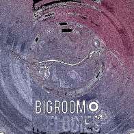 Big Room Melodies Vol 1 product image