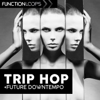 Trip Hop & Future Downtempo product image