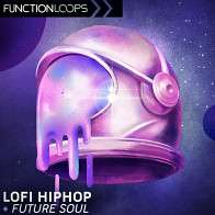 LoFi Hip Hop & Future Soul product image