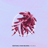 Emotional Piano Melodies Vol 9 product image