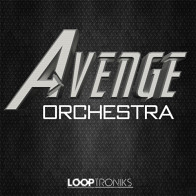 Avenge Orchestra product image