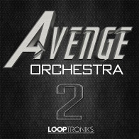 Avenge Orchestra 2 product image
