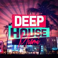 Deep House Miami product image