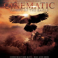 Cinematic Flight Of The Eagle product image