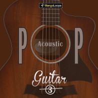 Pop Acoustic Guitar Vol 3 product image
