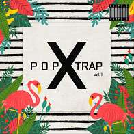 Pop X Trap Vol 1 product image