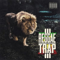 Reggae X Trap 3 product image