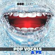 Pop Vocals & FX 2021  product image
