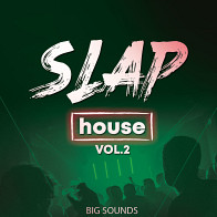 Slap House Vol 2 product image