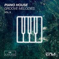 Piano House Groove Melodies Vol 3 product image