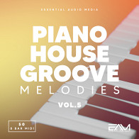 Piano House Groove Melodies Vol 5 product image
