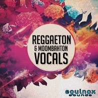Reggaeton & Moombahton Vocals product image