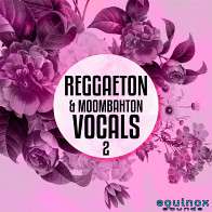 Reggaeton & Moombahton Vocals 2 product image