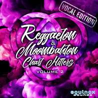 Reggaeton & Moombahton Chart Hitters Vol 2: Vocal Edition product image