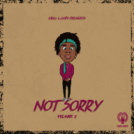 Not Sorry Vol 2 product image
