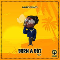 Burn A Boy Vol 1 product image