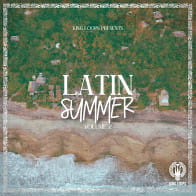 Latin Summer Vol 2 product image
