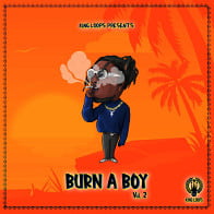 Burn A Boy Vol 2 product image