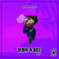 Burn A Boy Vol 3 product image