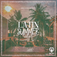 Latin Summer Vol 3 product image