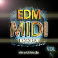 EDM MIDI Loops Vol 1 product image