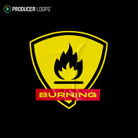 Burning product image
