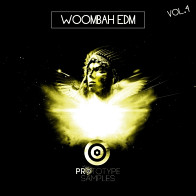 Woombah EDM Vol 4 product image