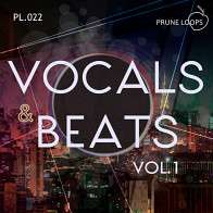 Vocals and Beats Vol 1 product image