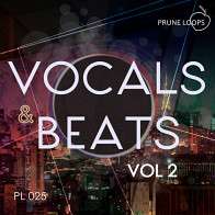 Vocals And Beats Vol 2 product image