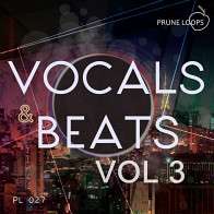 Vocals And Beats Vol 3 product image
