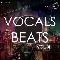 Vocals And Beats Vol 4 product image