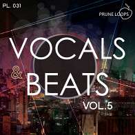 Vocals And Beats Vol 5 product image