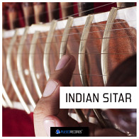 World Series: Indian Sitar product image