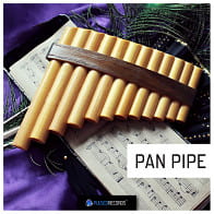 World Series: Pan Pipe product image