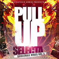 Pull Up Selecta: Dancehall Vibes Vol 5 product image