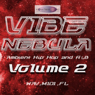 Vibe Nebula: Ambient Hip Hop & R&B Vol 2 product image