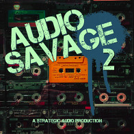 Audio Savage 2 product image