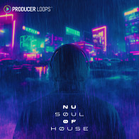Nu Soul of House House Loops