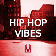Hip Hop Vibes product image