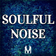 Soulful Noise product image