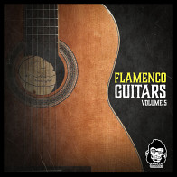 Flamenco Guitars Vol 5 product image