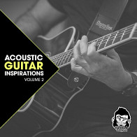 Acoustic Guitar Inspirations Vol 2 product image