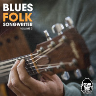 Blues Folk Songwriter Vol 3 product image
