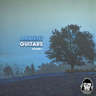 Ambient Guitars Vol 1 product image