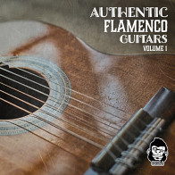 Authentic Flamenco Guitars Vol 1 product image